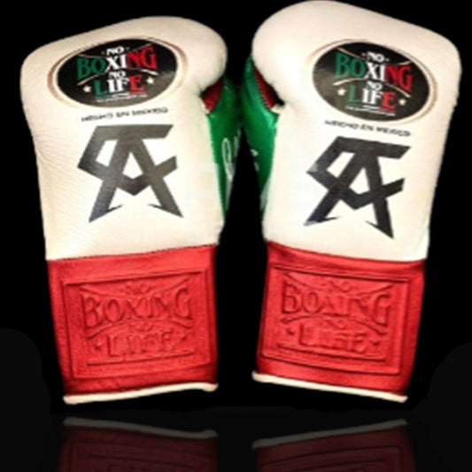 No Boxing No Life Glove - online, NBNL Boxing Gloves, Leather Gloves