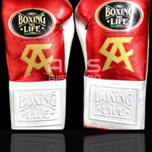 No Boxing No Life Glove - online, NBNL Boxing Gloves, Leather Gloves