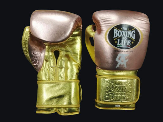 No Boxing No Life Boxing Gloves Custom Color - Get Your Custom Brand Name, Color and Logo