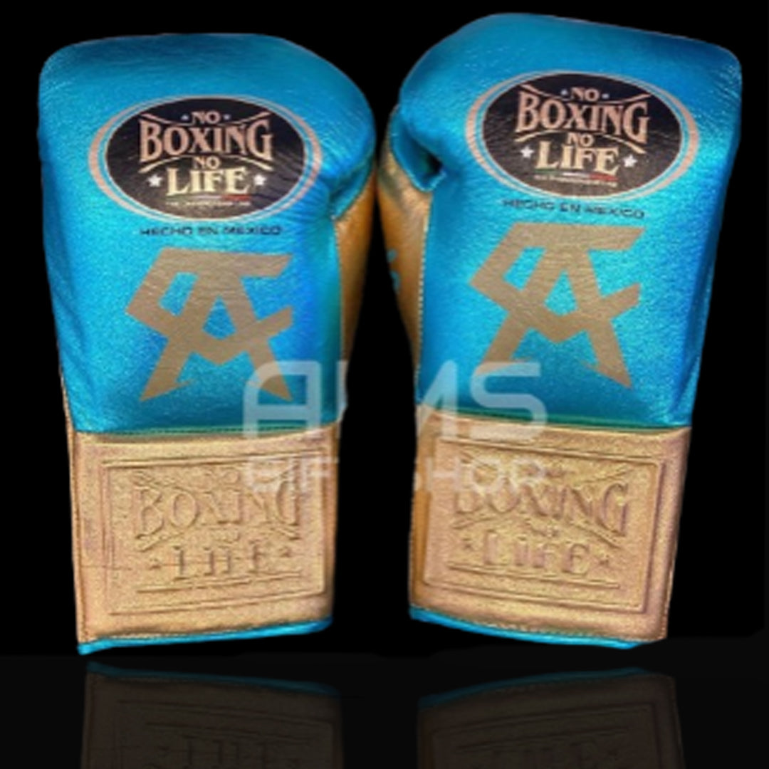 No Boxing No Life Glove - online, NBNL Boxing Gloves, Leather Gloves