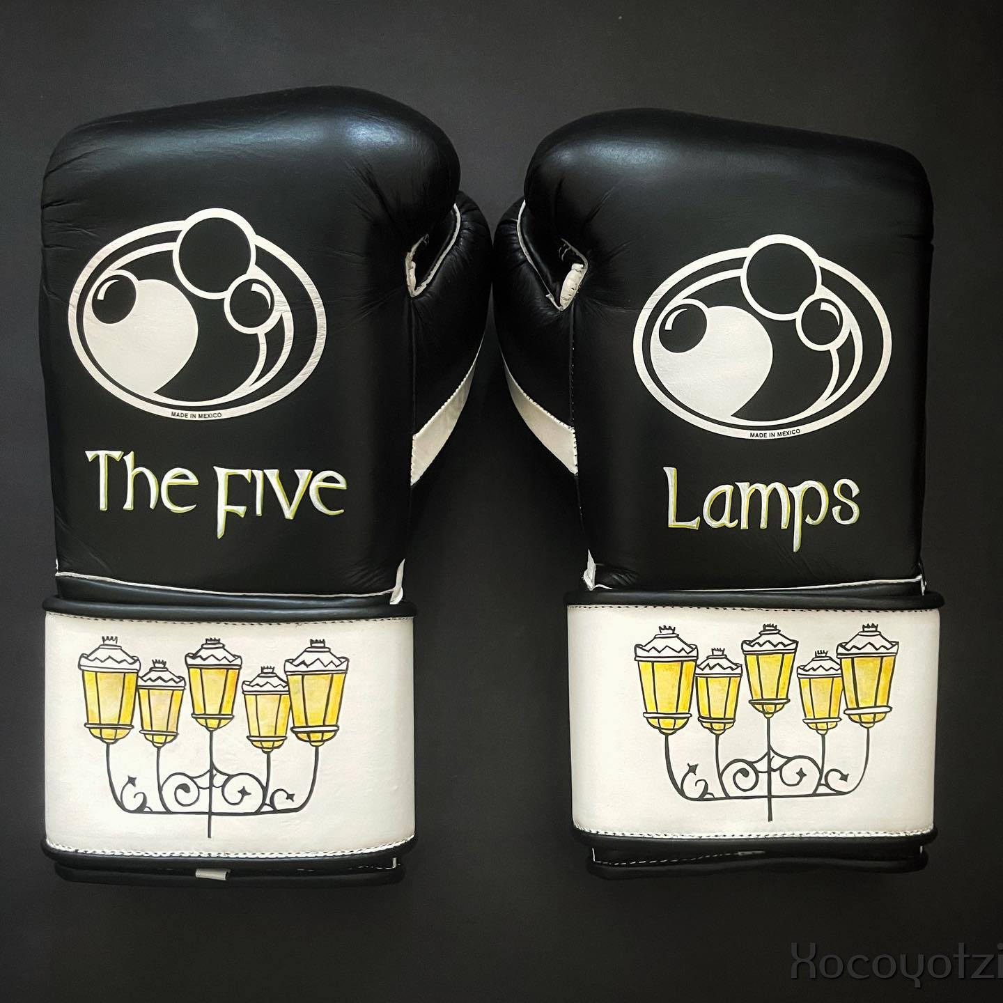 Grant Boxing Gloves Black/White Velcro Training