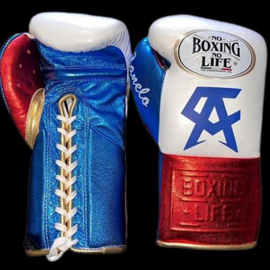 No Boxing No Life Glove - online, NBNL Boxing Gloves, Leather Gloves