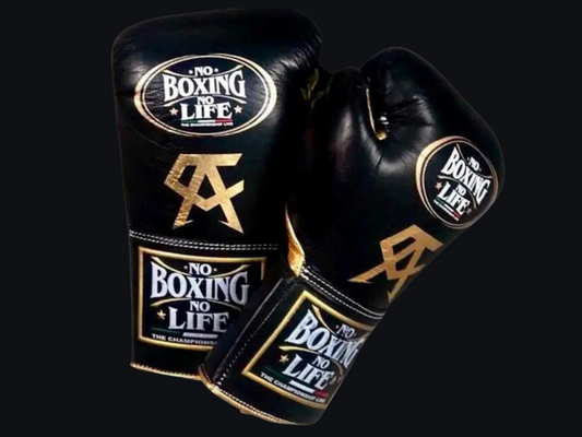 No Boxing No Life Glove - online, NBNL Boxing Gloves, Leather Gloves