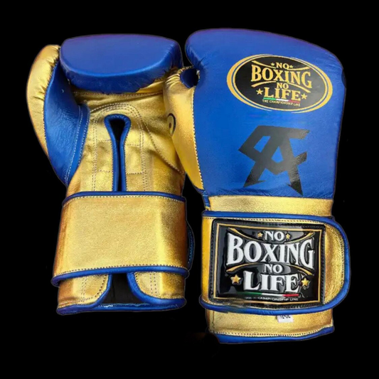 No Boxing No Life Glove - online, NBNL Boxing Gloves, Leather Gloves