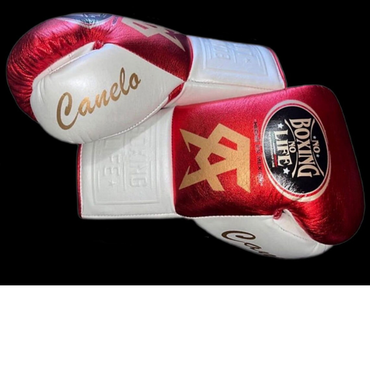 No Boxing No Life Glove - online, NBNL Boxing Gloves, Leather Gloves