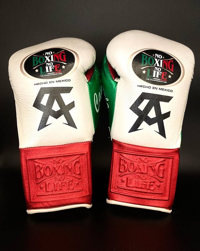 No Boxing No Life Style Fitness Gloves White/Red/Green Beginner Friendly