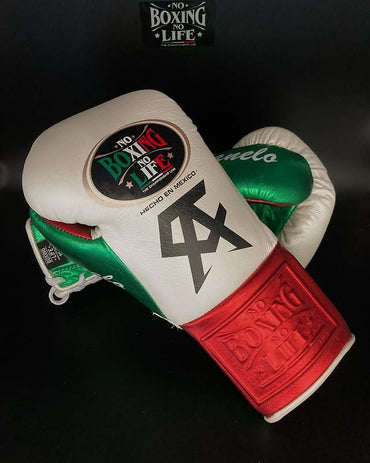 No Boxing No Life White/Green Fighting Gloves, Soft-Cushion Professional Training