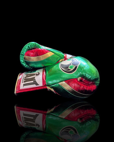 Customizable Grant boxing glove , online , High Quality COPIES of Branded Gloves_FT