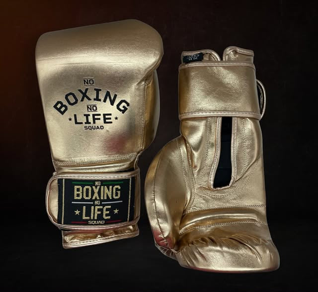 Budget No Boxing No Life Training Gloves Brown 14oz Custom Fit