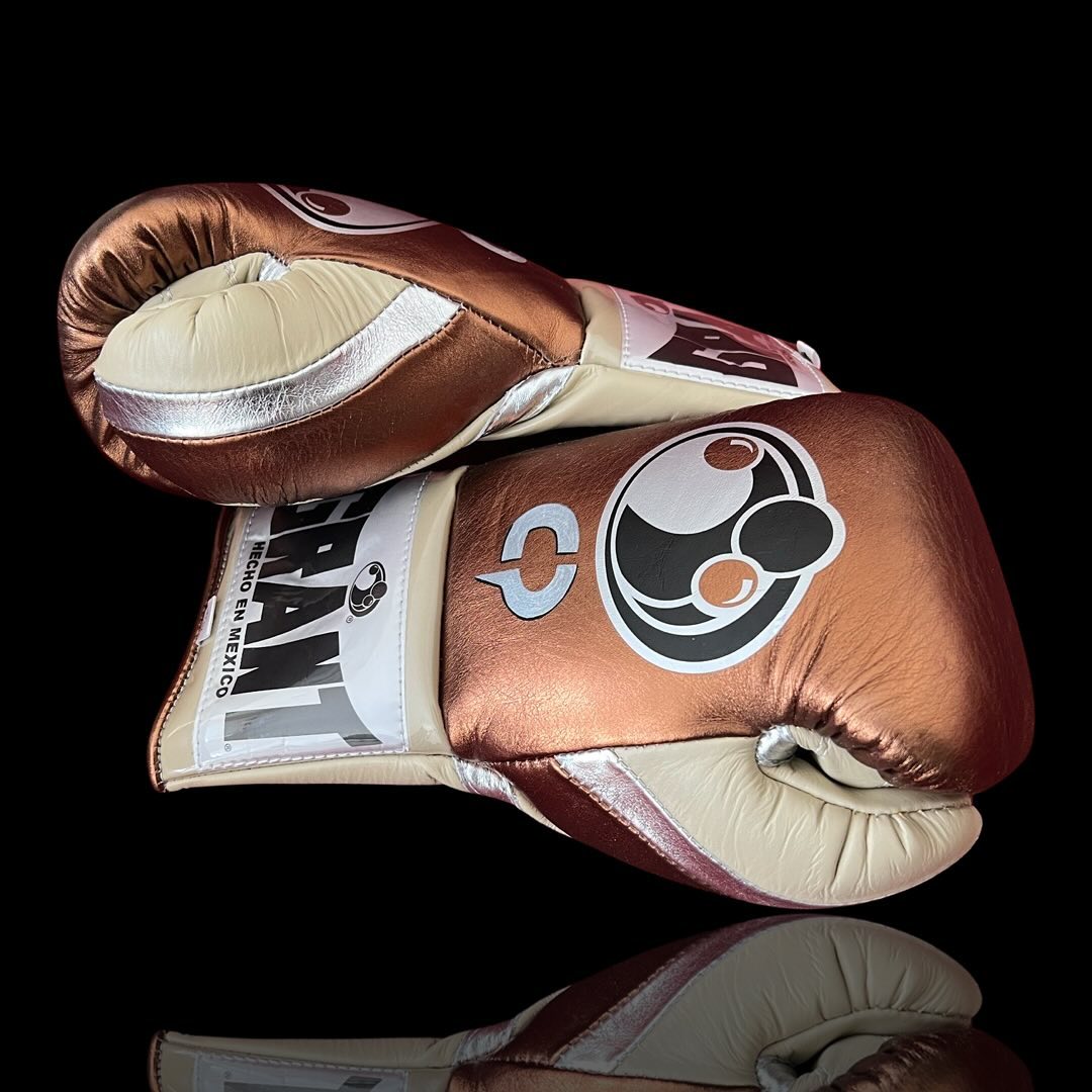 Grant Boxing Gloves Brown/Beige/Silver | Lace-Up