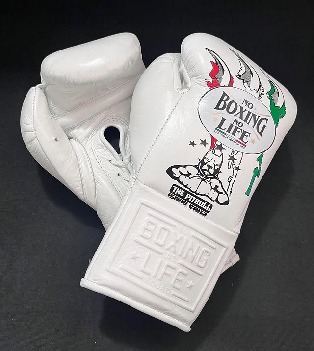 Affordable No Boxing No Life Leather Boxing Gloves White Gym Training