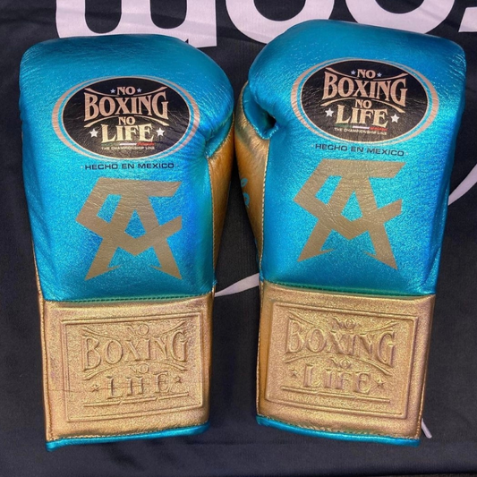 No Boxing No Life Glove - online, NBNL Boxing Gloves, Leather Gloves