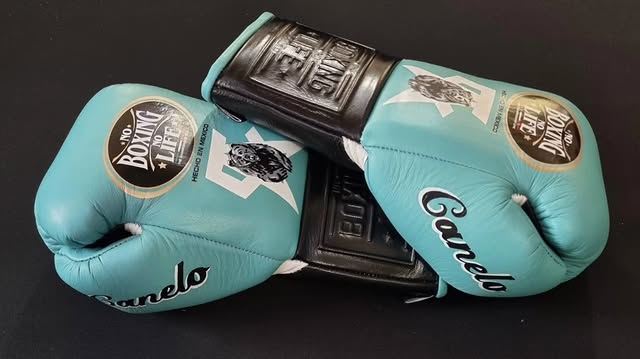 No Boxing No Life Gym Gloves Sea-Green/Black/White Custom Affordable Choice