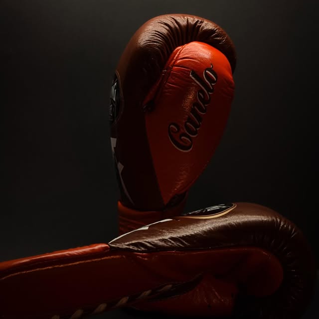 No Boxing No Life Training Gloves Brown/Orange Budget Friendly