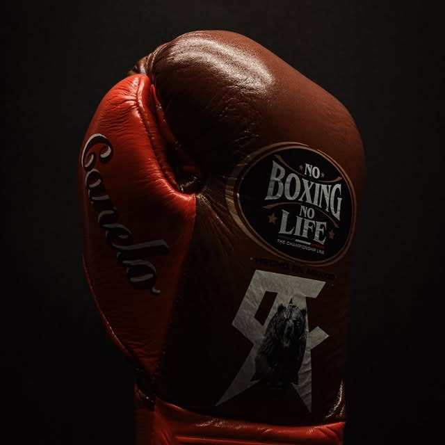 No Boxing No Life Training Gloves Brown/Orange Budget Friendly