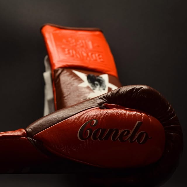 No Boxing No Life Training Gloves Brown/Orange Budget Friendly