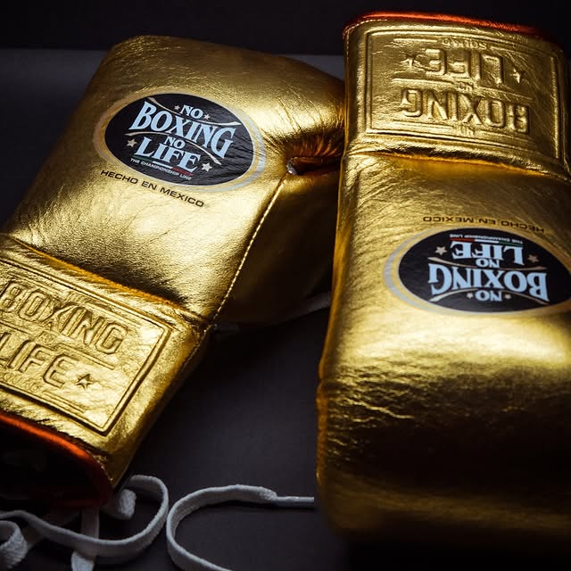Affordable Custom No Boxing No Life Boxing Gloves Gold/Orange Daily Training