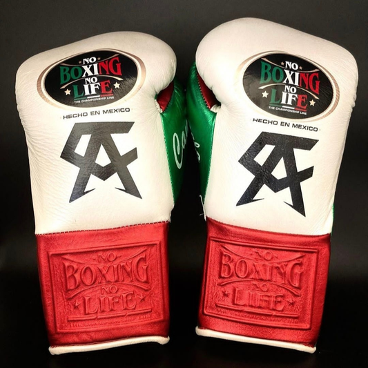 No Boxing No Life Glove - online, NBNL Boxing Gloves, Leather Gloves