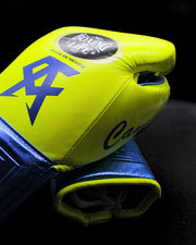 No Boxing No Life Inspired Budget Gloves Parrot/Blue Full Customization