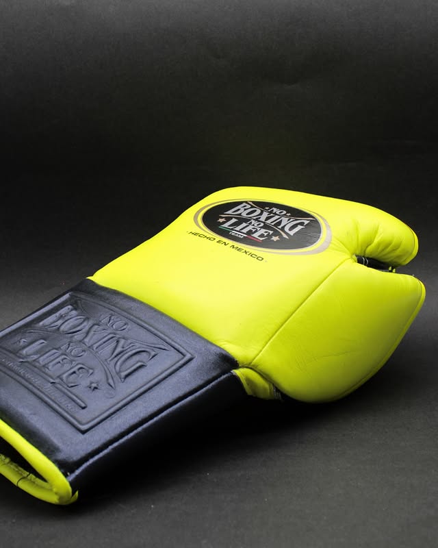 Value Custom No Boxing No Life Sparring Gloves Parrot/Grey Heavy Duty