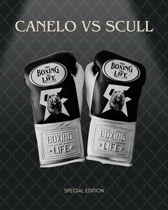 Budget No Boxing No Life Training Gloves Black/Grey 12oz Custom Fit
