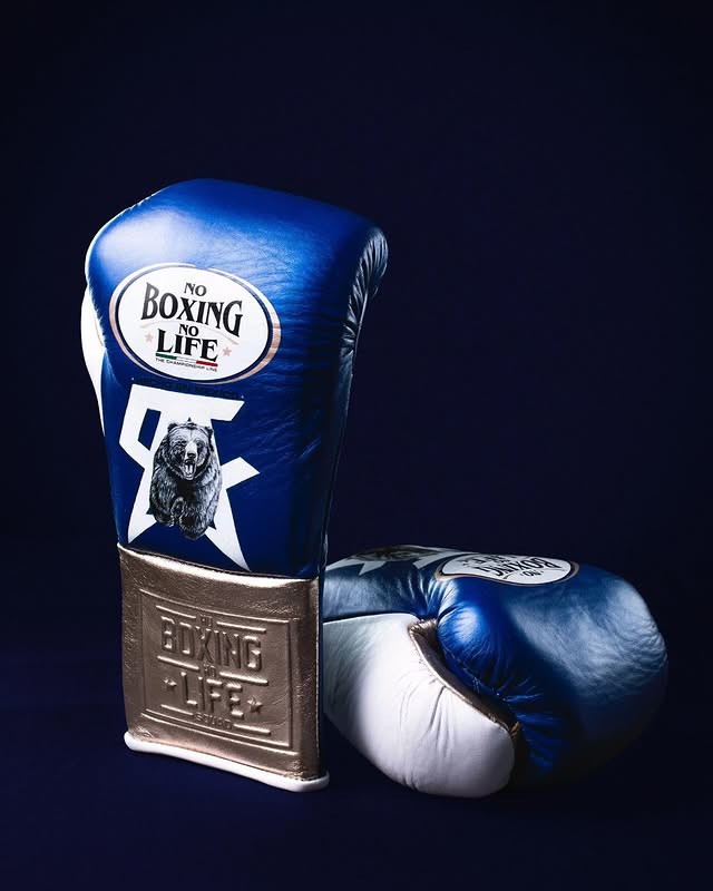 Budget Friendly No Boxing No Life Custom Gloves Blue/Brown/White Training