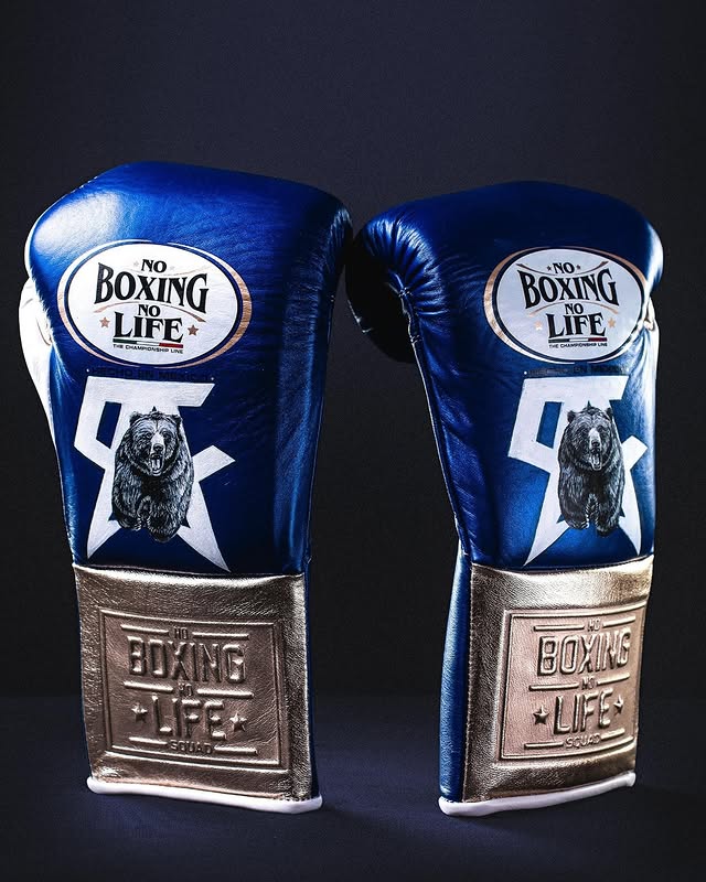 Budget Friendly No Boxing No Life Custom Gloves Blue/Brown/White Training