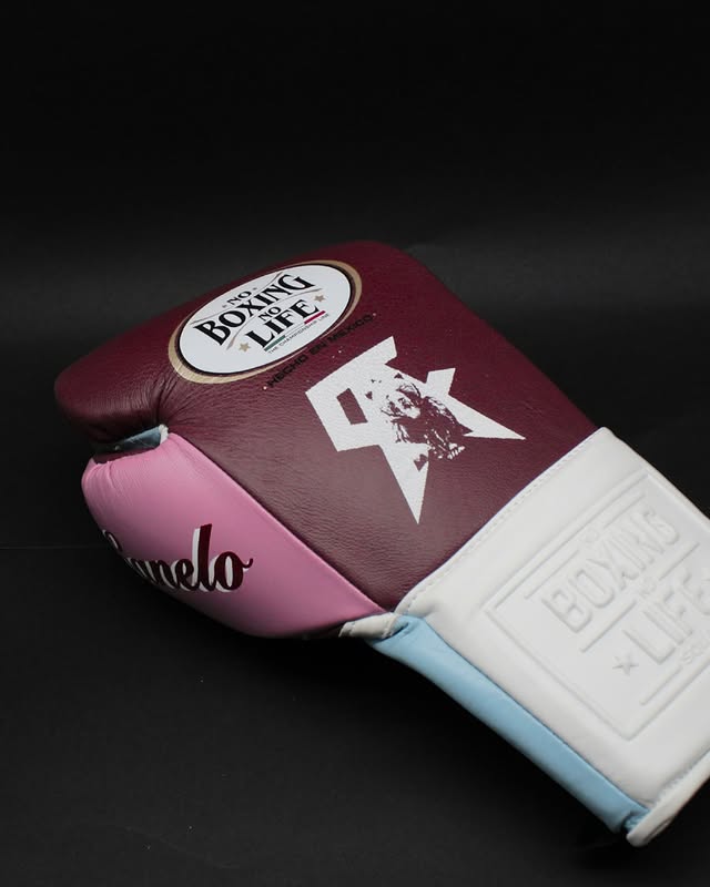 Budget No Boxing No Life Sparring Gloves Maroon/Pink/White/Blue Full Custom