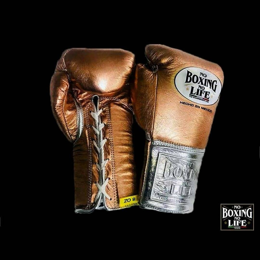 Heavy Duty No Boxing No Life Training Gloves Brown/Silver Customizable