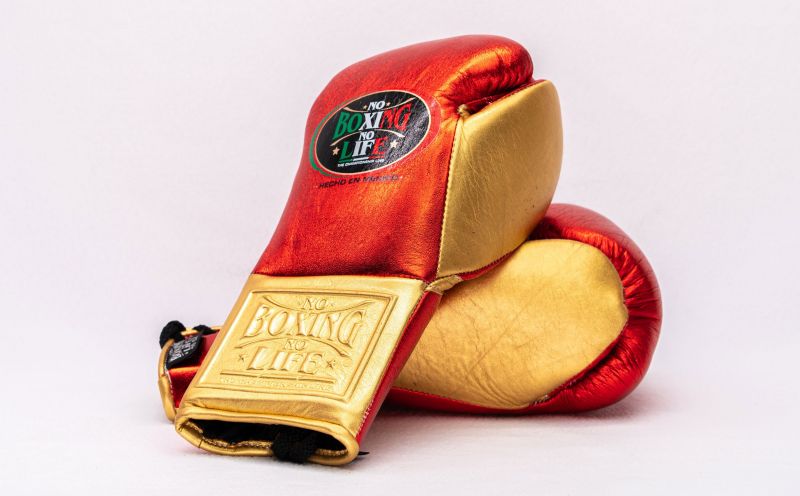 Heavy Duty No Boxing No Life Training Gloves Red/Gold Customizable