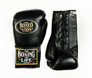 Budget No Boxing No Life Sparring Gloves Black Full Custom