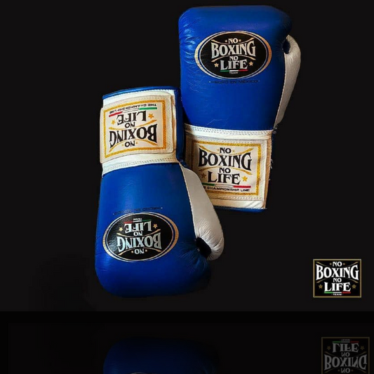 No Boxing No Life Glove - online, NBNL Boxing Gloves, Leather Gloves