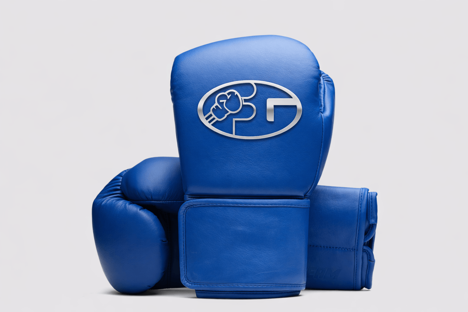 Fiest Winning Style Blue Leather Boxing Gloves Heavy Duty Pair