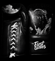 Fiest Winning Style Black/Silver Boxing Gloves Beginner Training Gloves