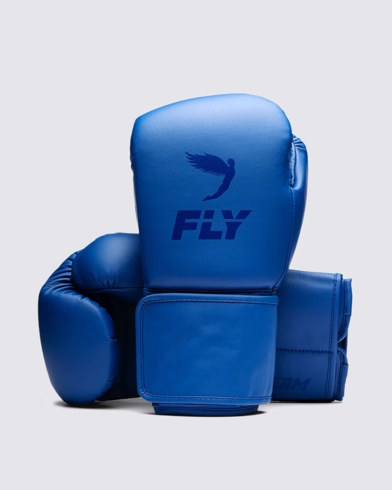 Fly Blue Boxing Gloves Beginner Friendly Training Gloves