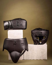 Fly Boxing Set Brown 14oz Gloves with Headguard Training Kit