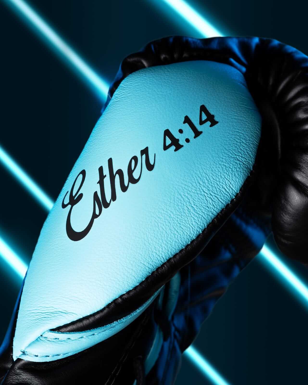 Fly Black/Blue 14oz Boxing Gloves High Quality Gym Gloves thumb view