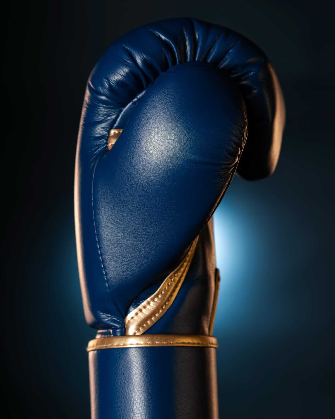 Fly Blue/Gold Boxing Gloves Premium Leather Training Pair thumb view