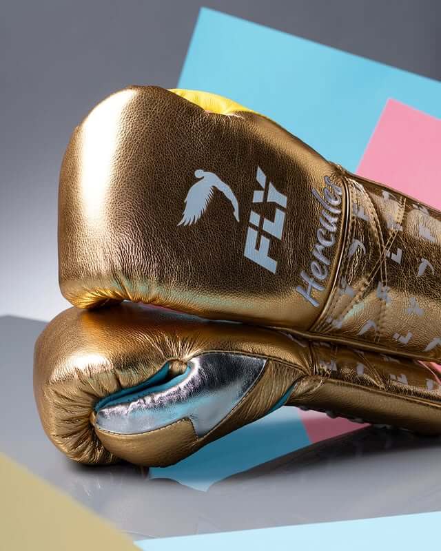 Fly Gold/Pink/Yellow/Blue Lace-Up Boxing Gloves Classic Training Gloves Back View