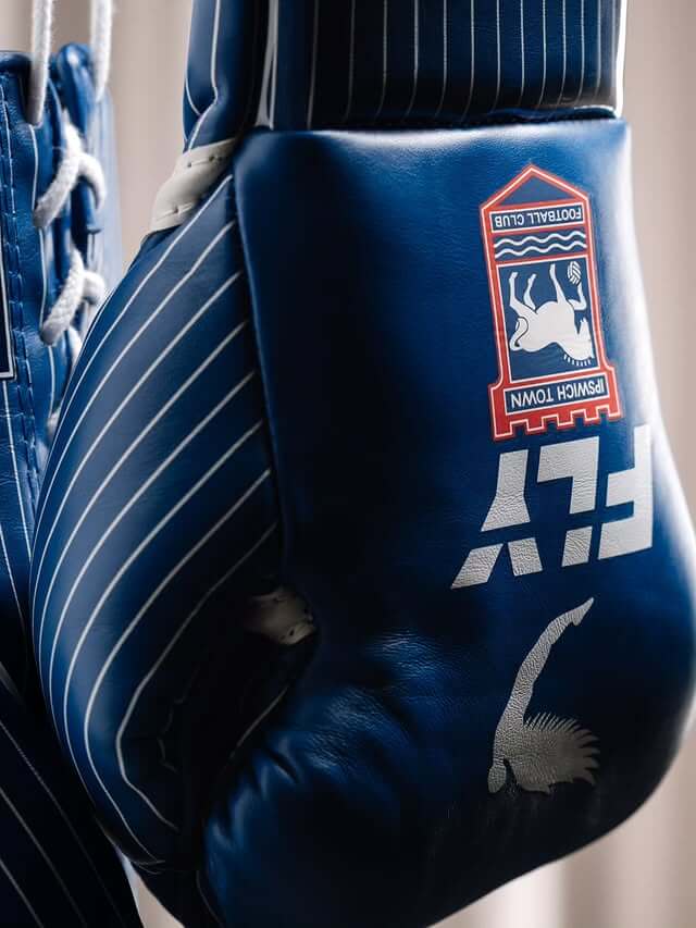 Fly Bue/White Boxing Gloves 14oz Premium Training Gloves Logo View
