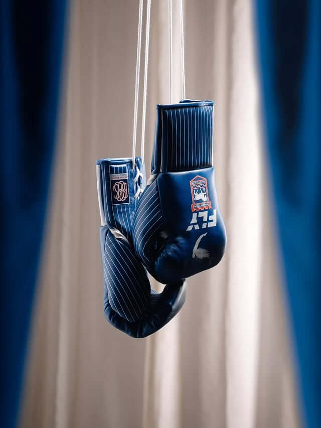 Fly Bue/White Boxing Gloves 14oz Premium Training Gloves