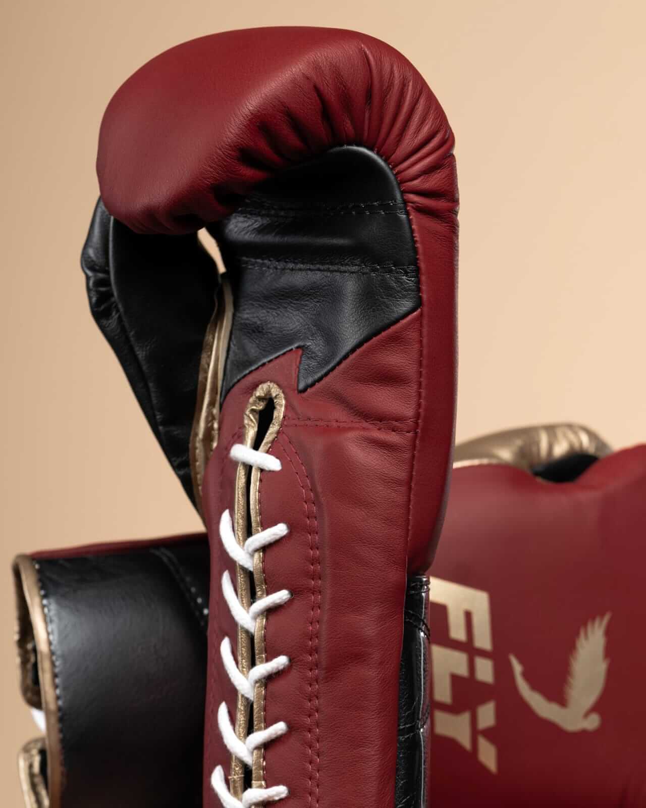 Fly Beginner Boxing Set Maroon/Black/Gold Gloves Training Kit Gloves View