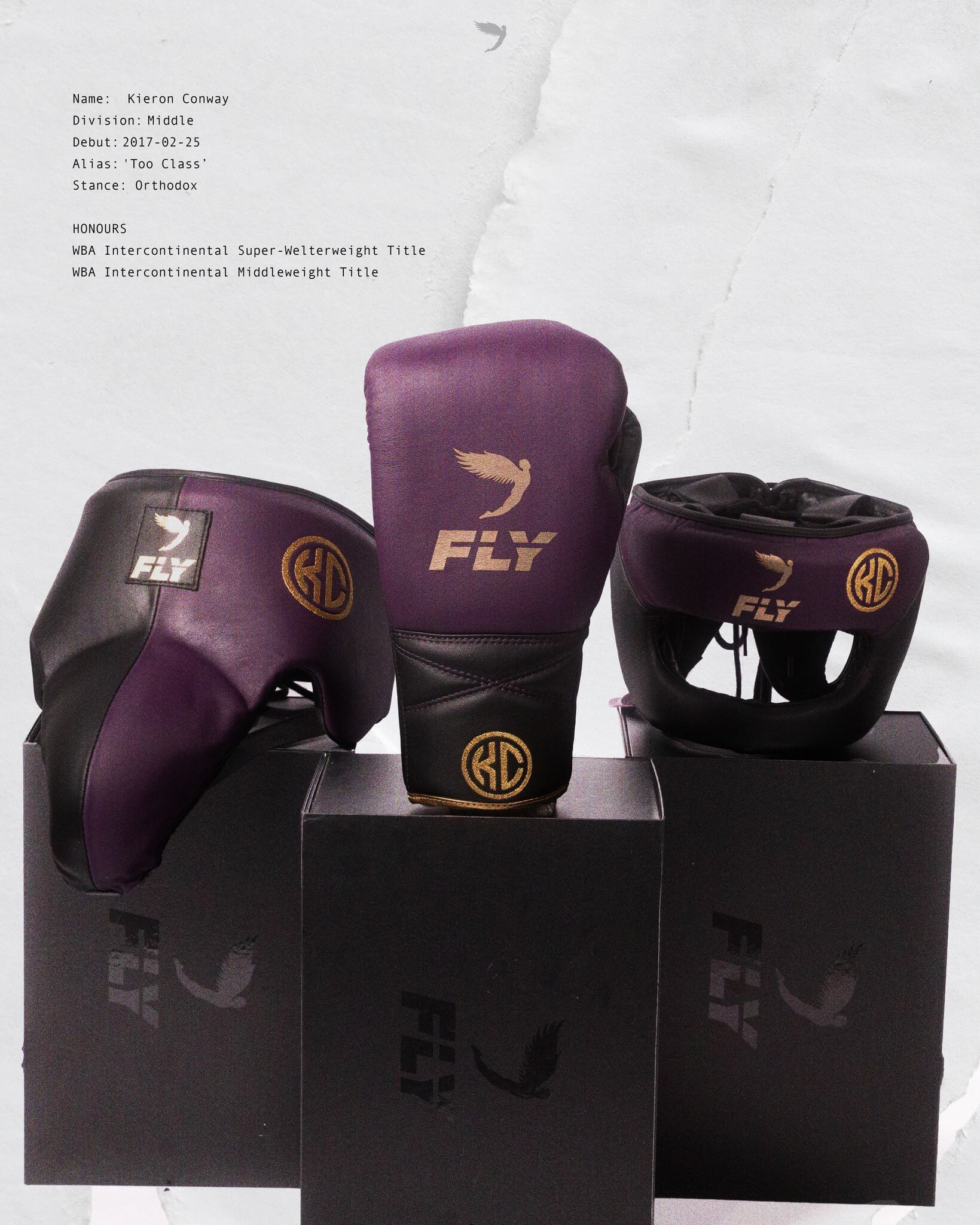 Fly Full Gear Boxing Set Purple/Black/Gold 14oz Gloves Training Pack