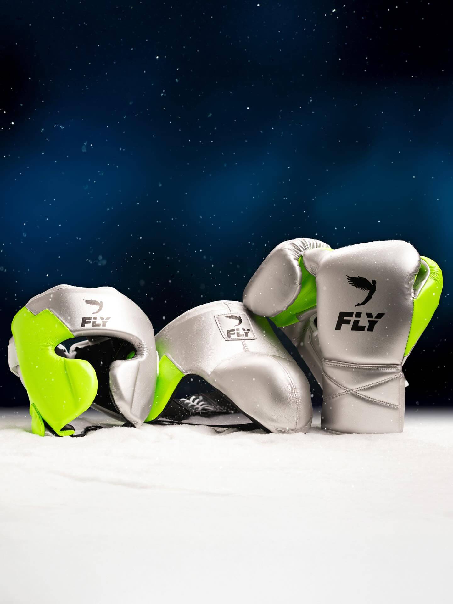 Fly Boxing Set Silver/Parrot 14oz Gloves with Headguard Training Kit