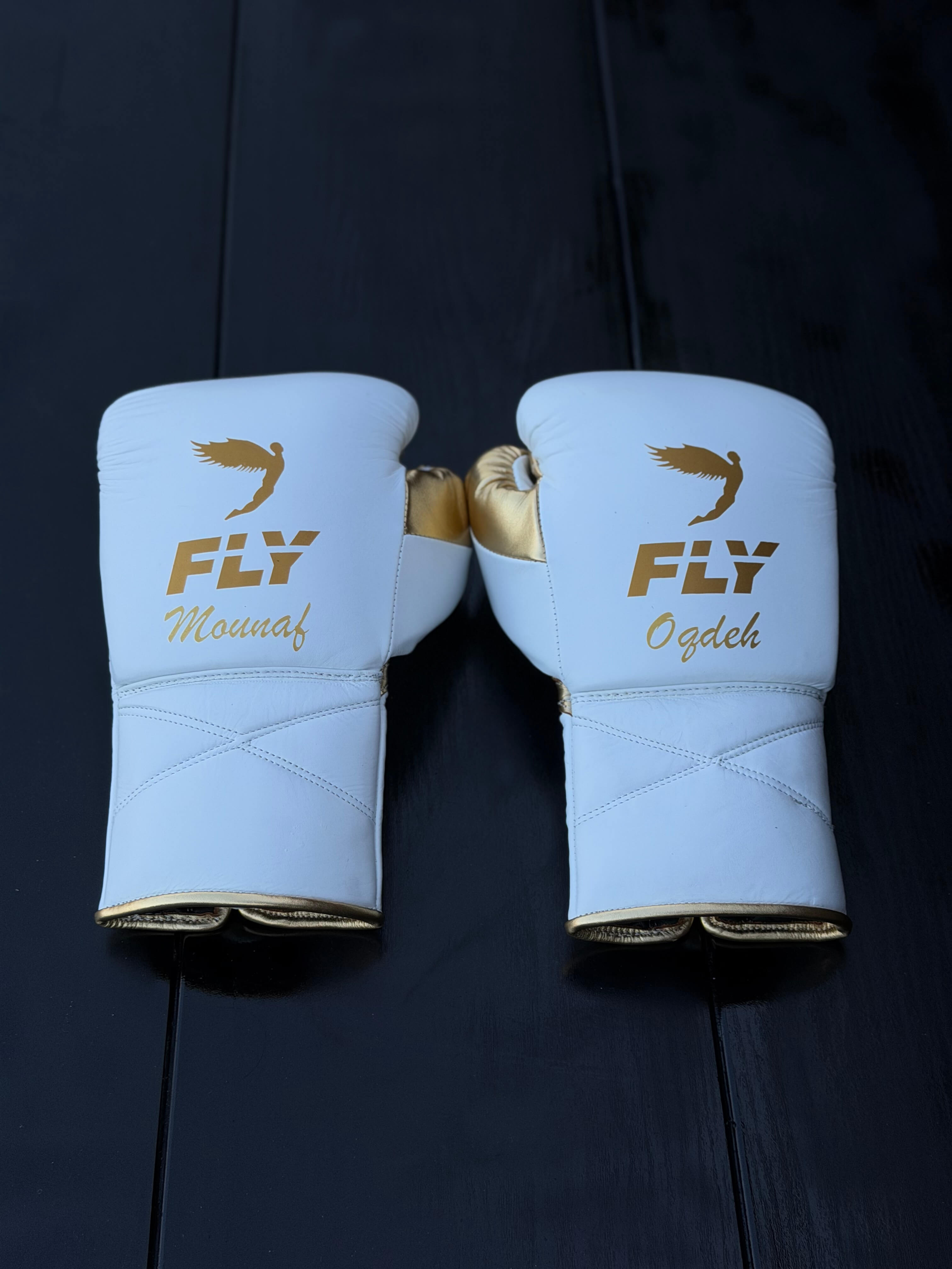 Fly Boxing Set White/Gold Leather Gloves Back View