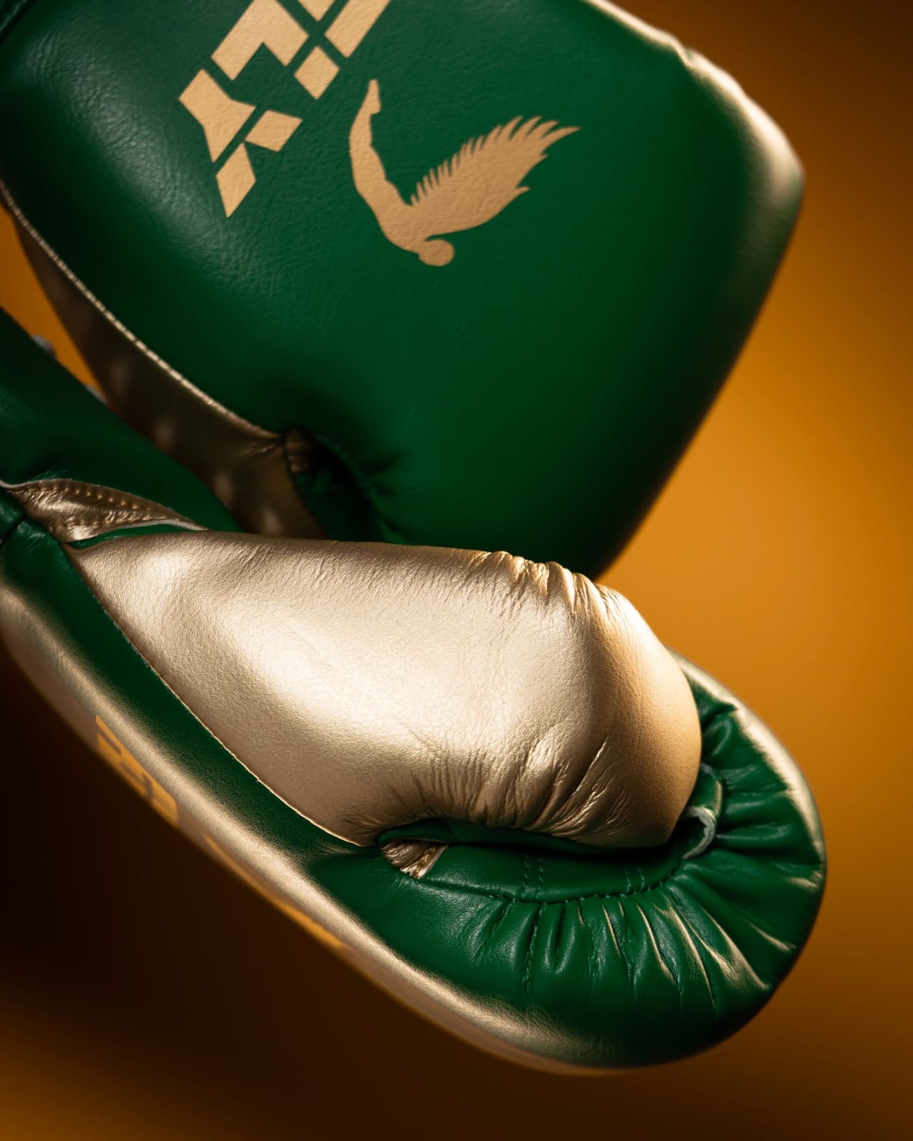 Fly Boxing Gloves Green/Gold | Lace-Up