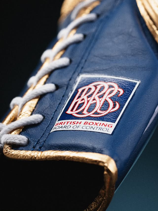 Fly Boxing Gloves Lace-Up | Blue/Gold