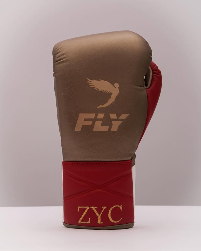 Fly Boxing Gloves Lace-Up | Brown/Red