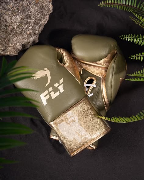 Fly Boxing Gloves Lace-Up | Light-Green/Gold