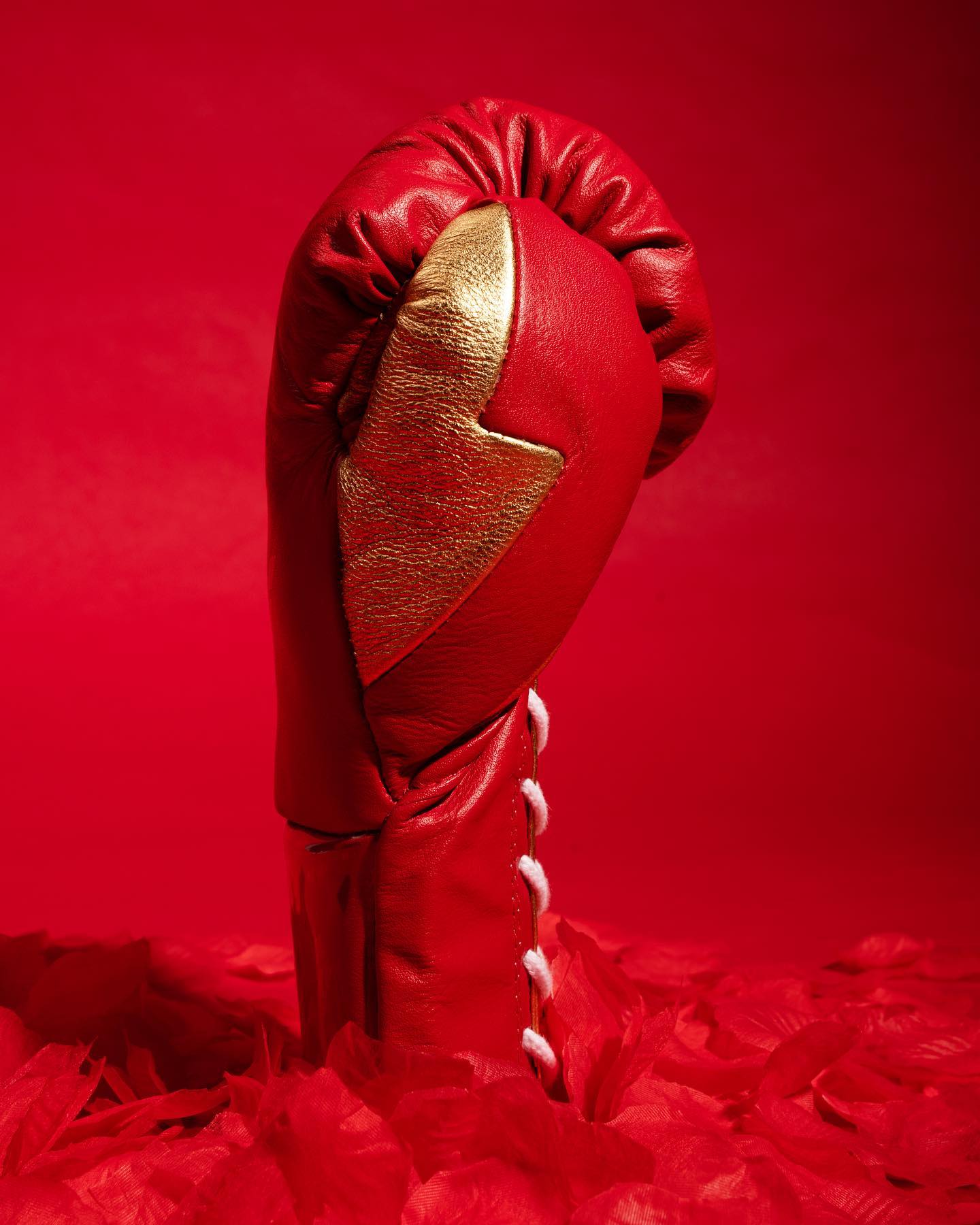 Fly Boxing Gloves Lace-Up | Red/Gold